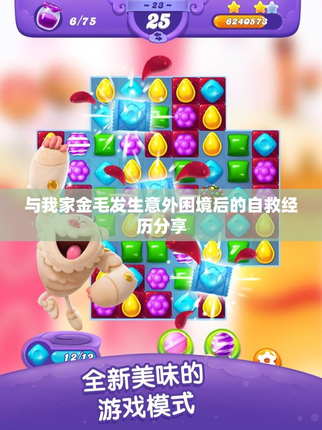 与我家金毛发生意外困境后的自救经历分享