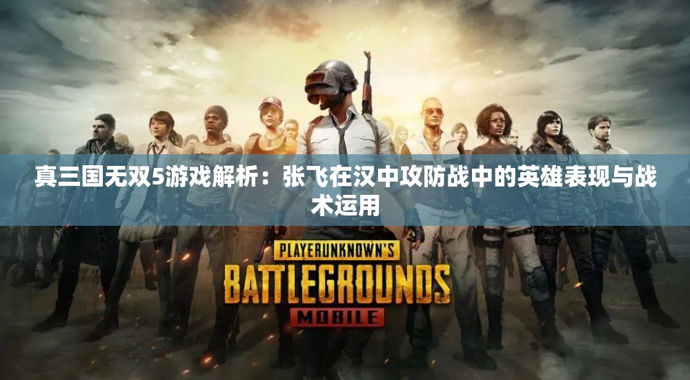 真三国无双5游戏解析：张飞在汉中攻防战中的英雄表现与战术运用