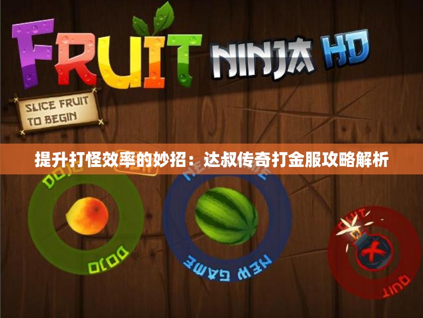 提升打怪效率的妙招：达叔传奇打金服攻略解析