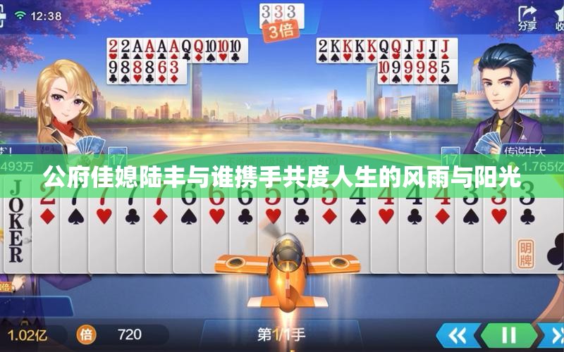公府佳媳陆丰与谁携手共度人生的风雨与阳光