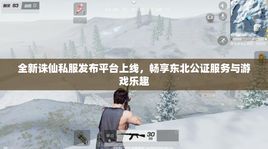 全新诛仙私服发布平台上线，畅享东北公证服务与游戏乐趣