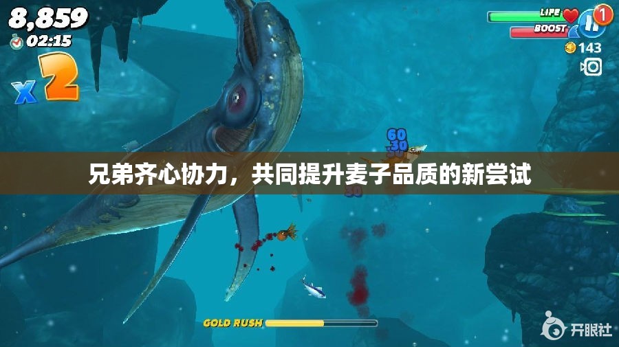 兄弟齐心协力，共同提升麦子品质的新尝试