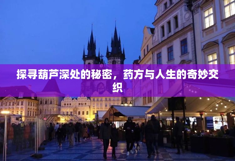 探寻葫芦深处的秘密，药方与人生的奇妙交织