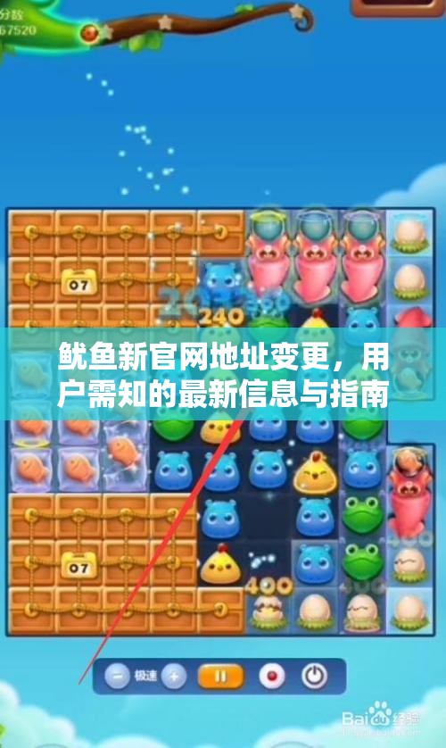 鱿鱼新官网地址变更，用户需知的最新信息与指南