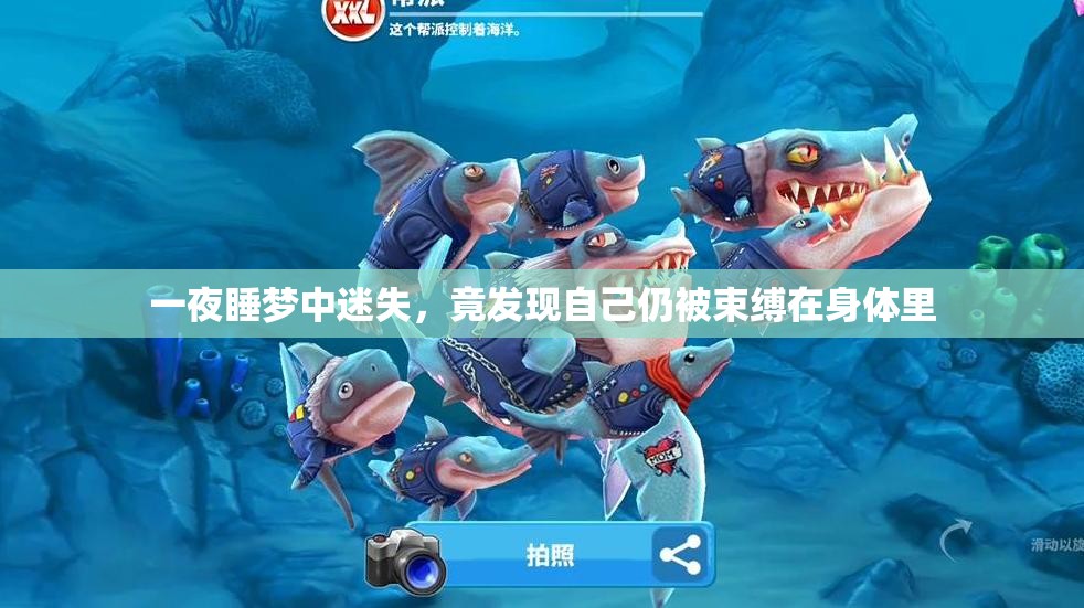 一夜睡梦中迷失，竟发现自己仍被束缚在身体里