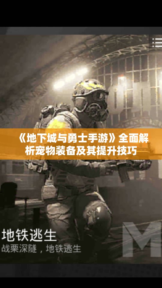 《地下城与勇士手游》全面解析宠物装备及其提升技巧