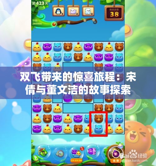双飞带来的惊喜旅程：宋倩与董文洁的故事探索