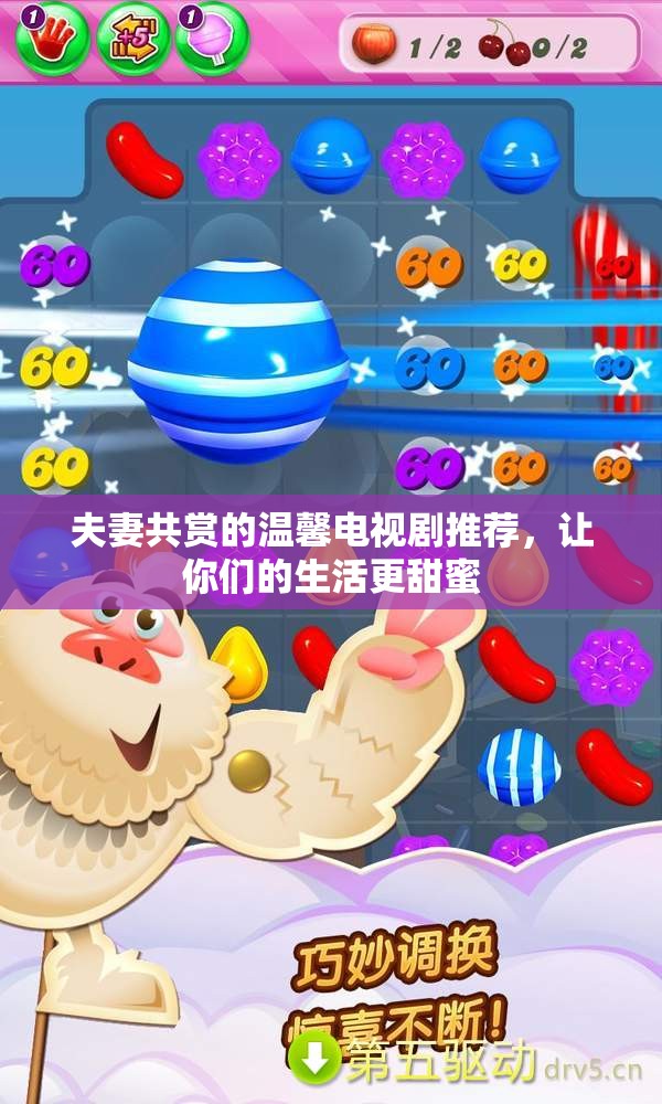 夫妻共赏的温馨电视剧推荐，让你们的生活更甜蜜