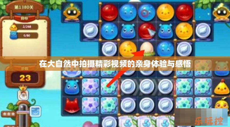 在大自然中拍摄精彩视频的亲身体验与感悟
