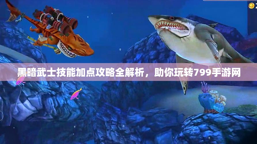 黑暗武士技能加点攻略全解析，助你玩转799手游网