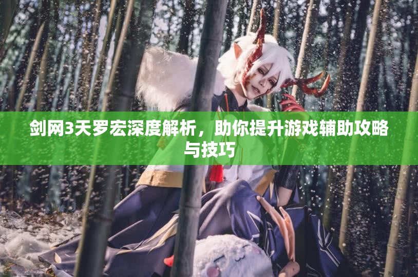 剑网3天罗宏深度解析，助你提升游戏辅助攻略与技巧