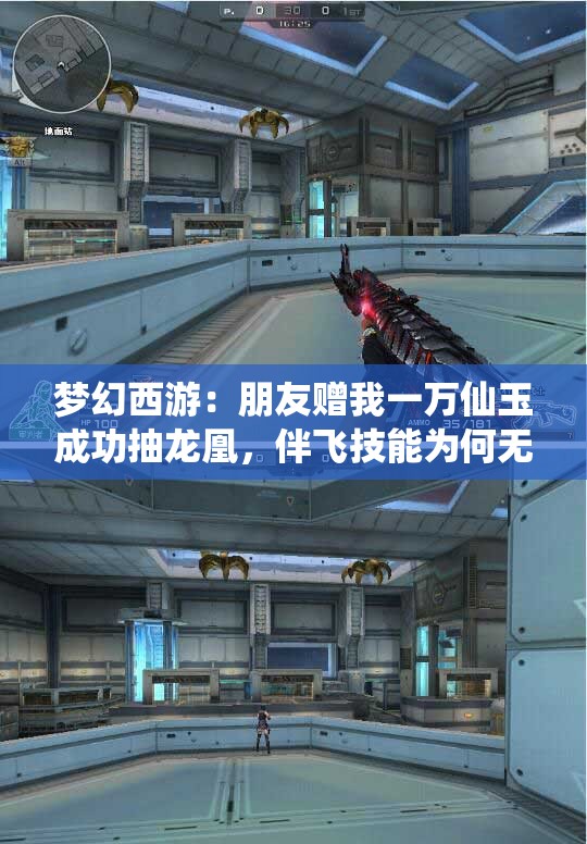 梦幻西游：朋友赠我一万仙玉成功抽龙凰，伴飞技能为何无法重塑
