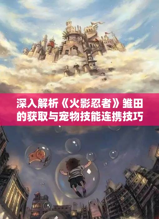 深入解析《火影忍者》雏田的获取与宠物技能连携技巧