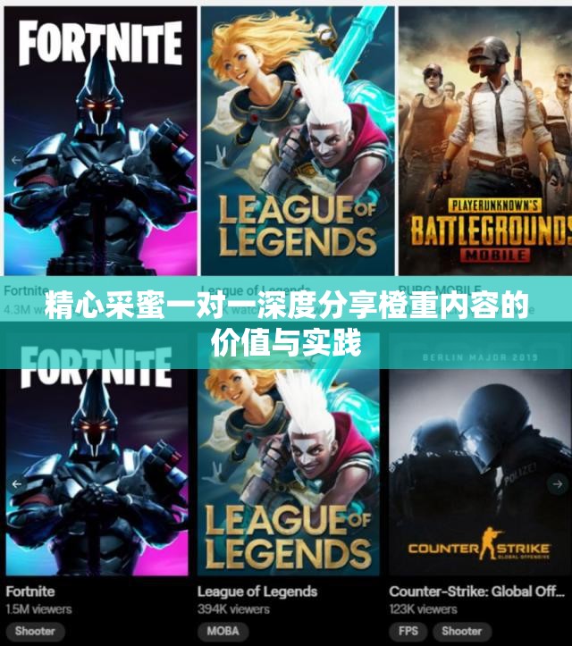 精心采蜜一对一深度分享橙重内容的价值与实践