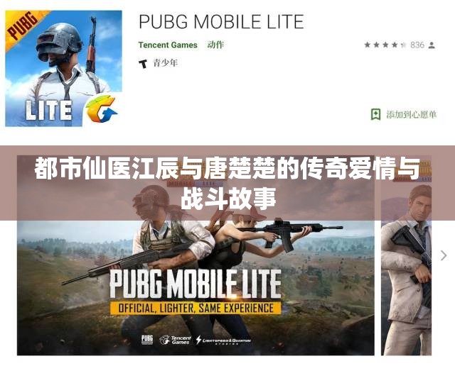 都市仙医江辰与唐楚楚的传奇爱情与战斗故事