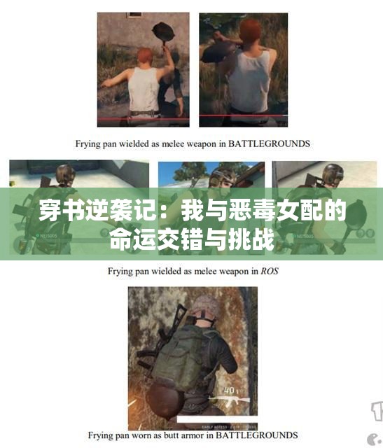 穿书逆袭记：我与恶毒女配的命运交错与挑战