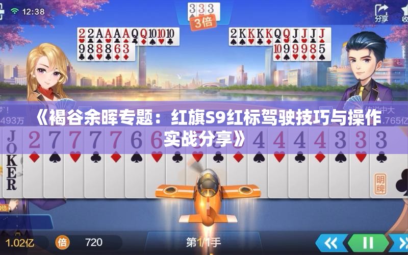 《褐谷余晖专题：红旗S9红标驾驶技巧与操作实战分享》
