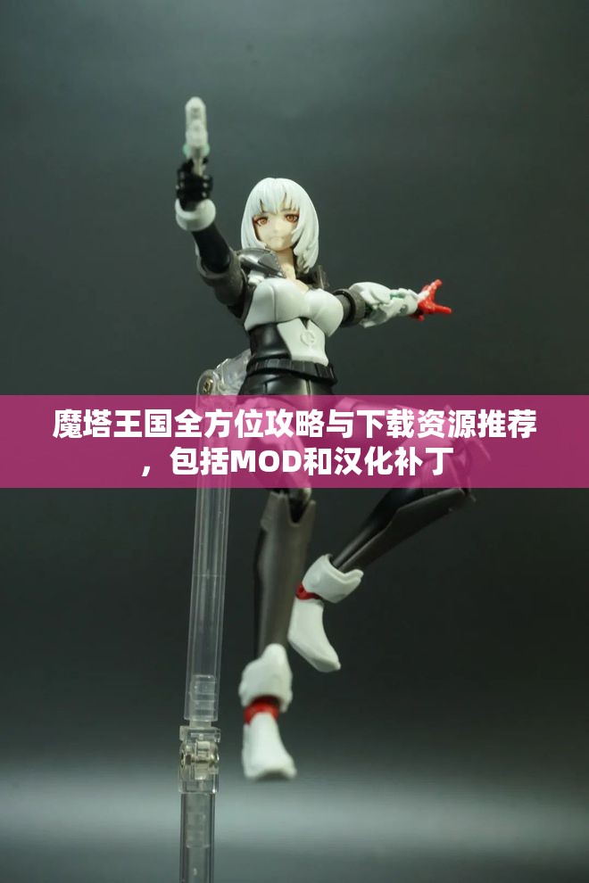 魔塔王国全方位攻略与下载资源推荐，包括MOD和汉化补丁