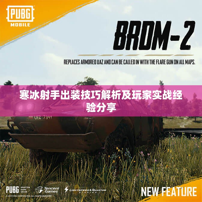 寒冰射手出装技巧解析及玩家实战经验分享
