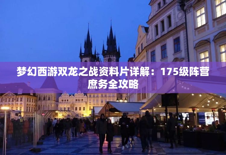梦幻西游双龙之战资料片详解：175级阵营庶务全攻略