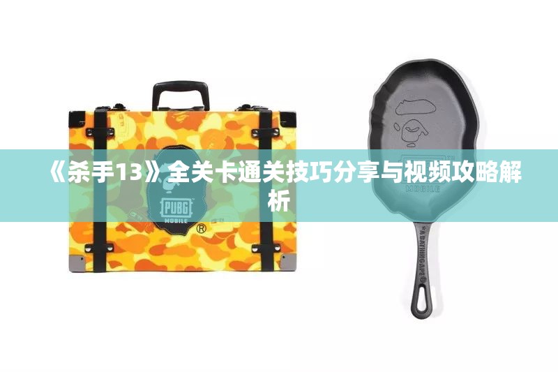 《杀手13》全关卡通关技巧分享与视频攻略解析