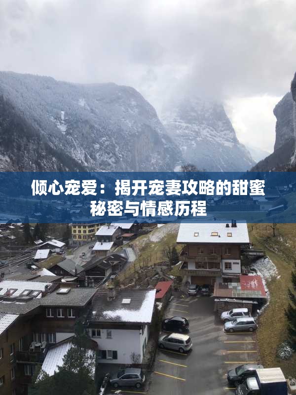 倾心宠爱：揭开宠妻攻略的甜蜜秘密与情感历程