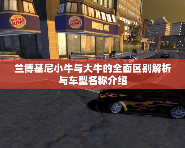 兰博基尼小牛与大牛的全面区别解析与车型名称介绍