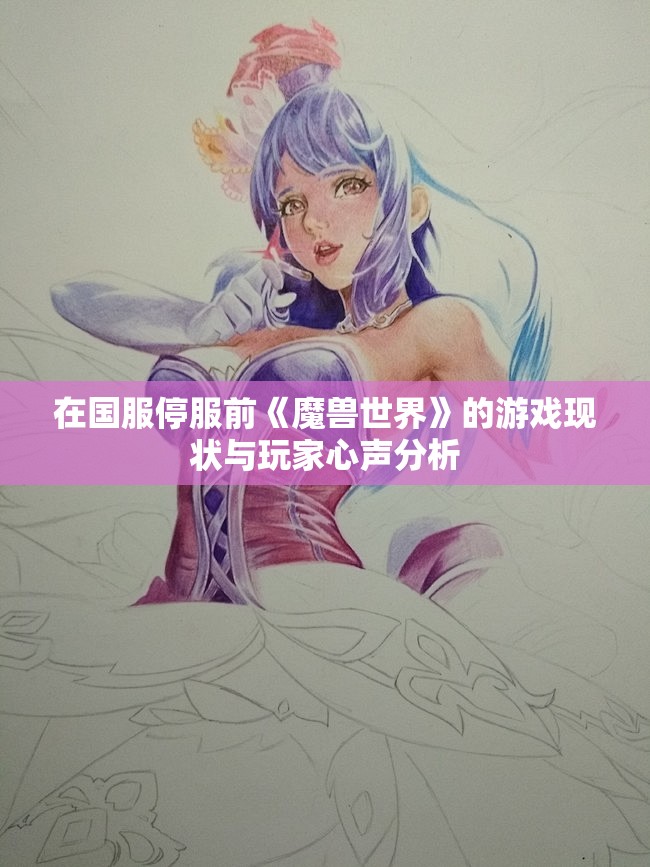 在国服停服前《魔兽世界》的游戏现状与玩家心声分析