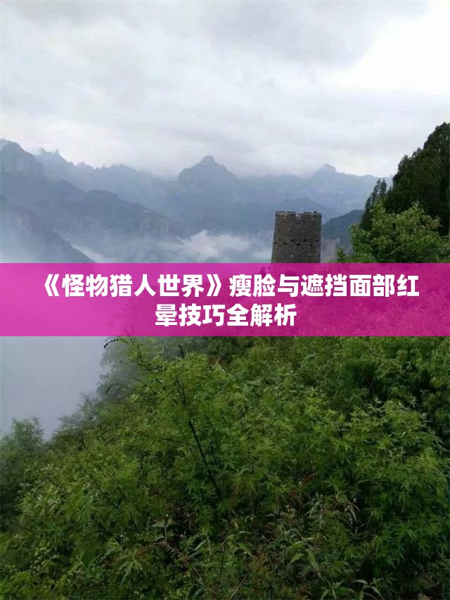 《怪物猎人世界》瘦脸与遮挡面部红晕技巧全解析