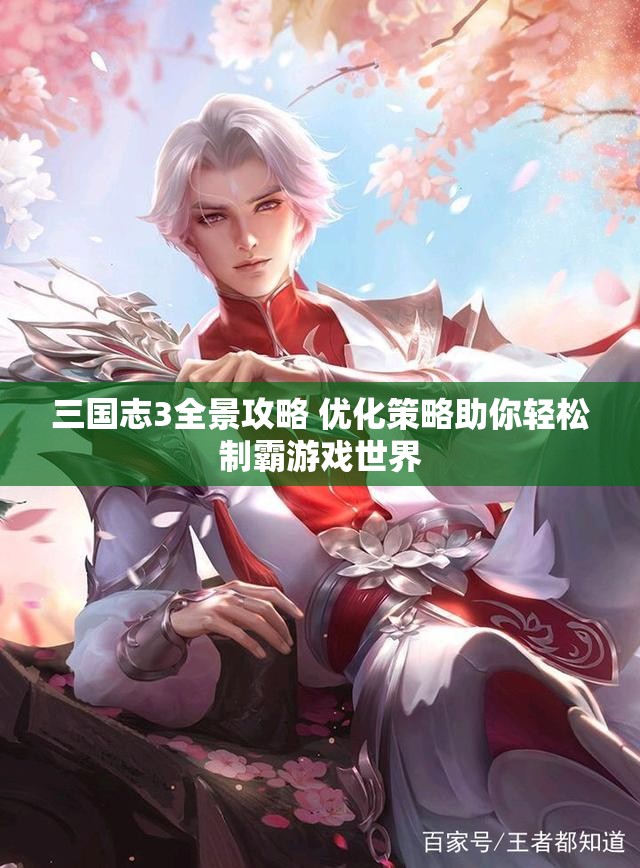 三国志3全景攻略 优化策略助你轻松制霸游戏世界