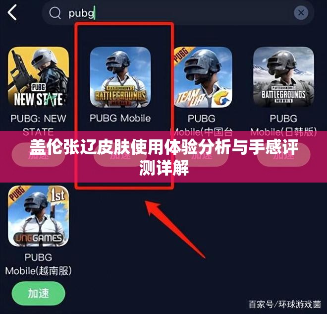 盖伦张辽皮肤使用体验分析与手感评测详解