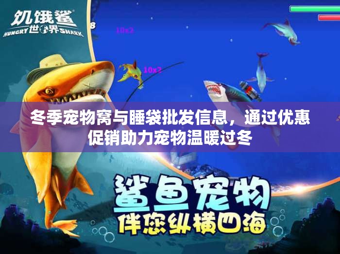 冬季宠物窝与睡袋批发信息，通过优惠促销助力宠物温暖过冬