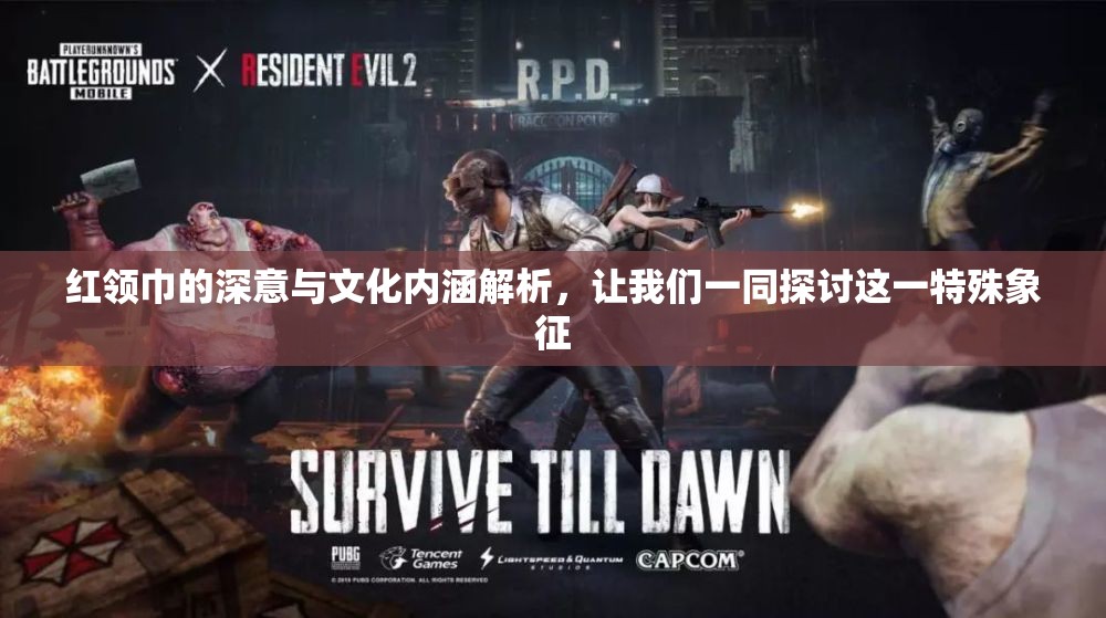红领巾的深意与文化内涵解析，让我们一同探讨这一特殊象征