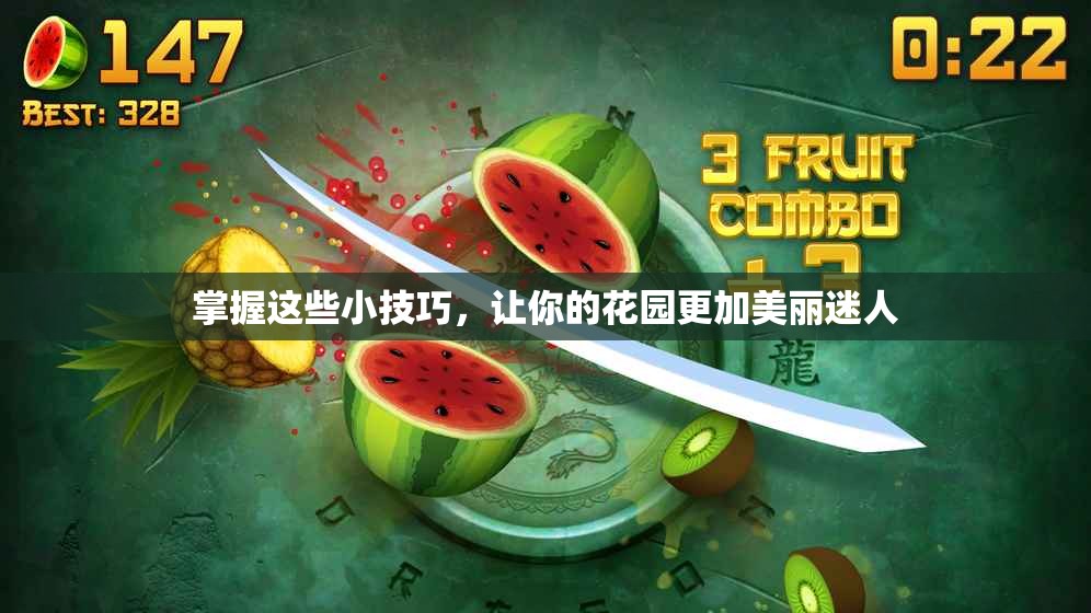 掌握这些小技巧，让你的花园更加美丽迷人