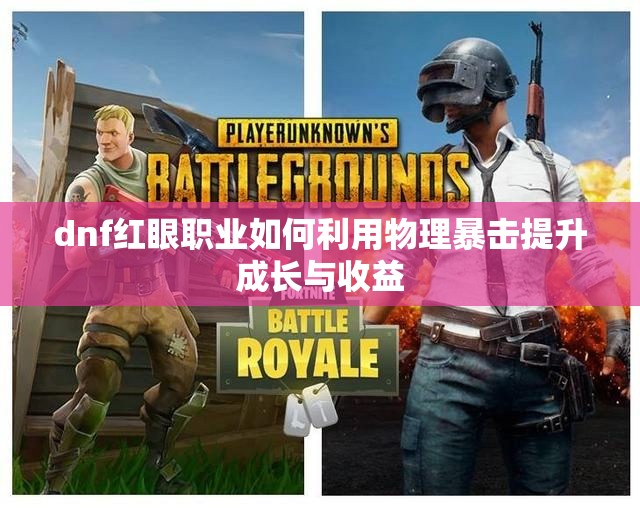 dnf红眼职业如何利用物理暴击提升成长与收益