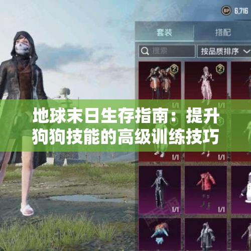 地球末日生存指南：提升狗狗技能的高级训练技巧