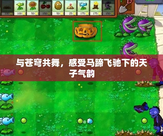 与苍穹共舞，感受马蹄飞驰下的天子气韵