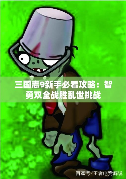 三国志9新手必看攻略：智勇双全战胜乱世挑战