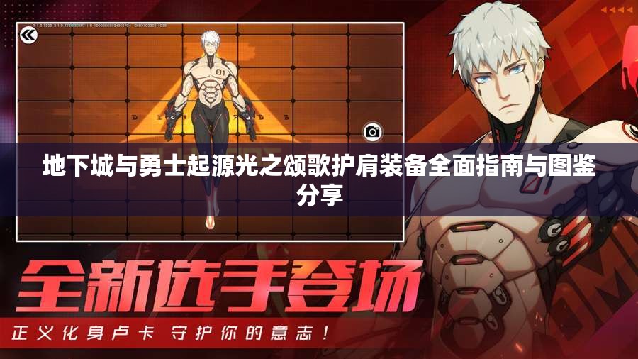 地下城与勇士起源光之颂歌护肩装备全面指南与图鉴分享