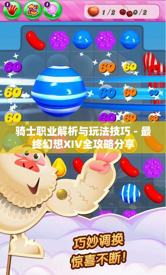 骑士职业解析与玩法技巧 - 最终幻想XIV全攻略分享