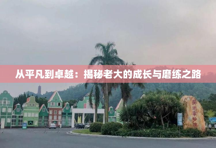从平凡到卓越：揭秘老大的成长与磨练之路