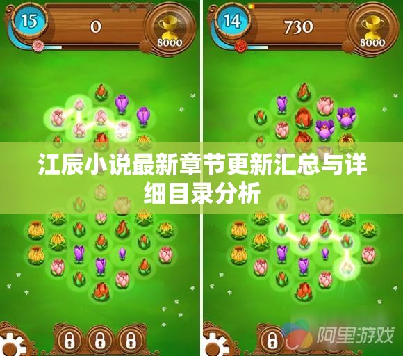 江辰小说最新章节更新汇总与详细目录分析