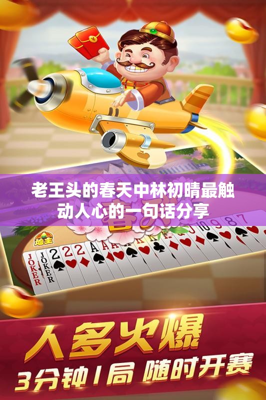 老王头的春天中林初晴最触动人心的一句话分享