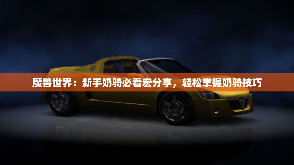 魔兽世界：新手奶骑必看宏分享，轻松掌握奶骑技巧
