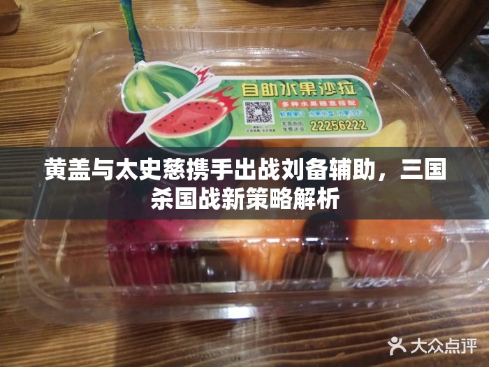 黄盖与太史慈携手出战刘备辅助，三国杀国战新策略解析