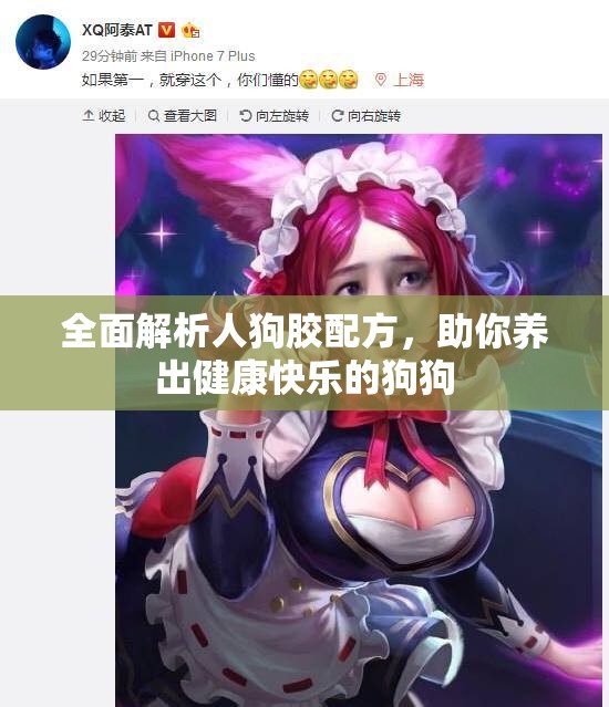全面解析人狗胶配方，助你养出健康快乐的狗狗