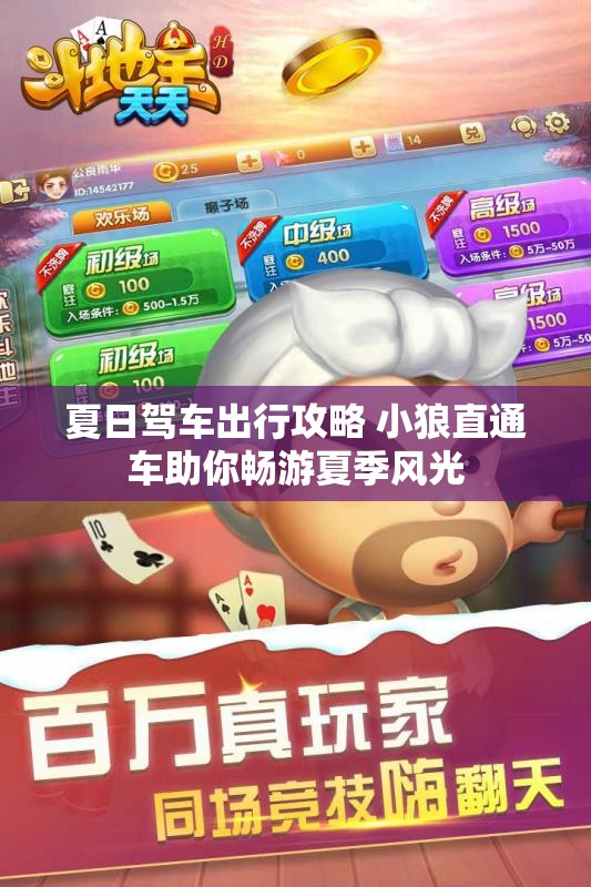 夏日驾车出行攻略 小狼直通车助你畅游夏季风光