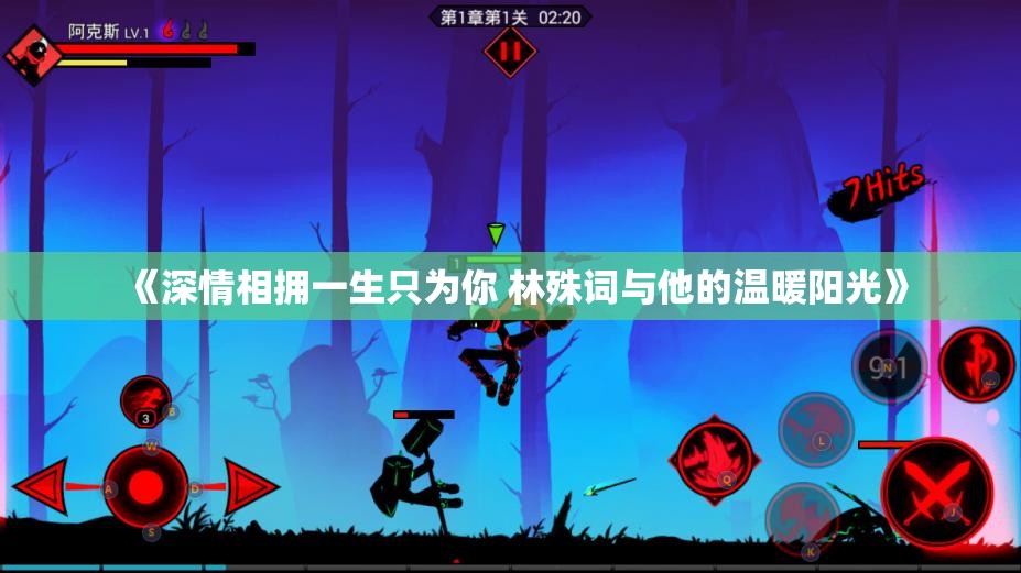 《深情相拥一生只为你 林殊词与他的温暖阳光》