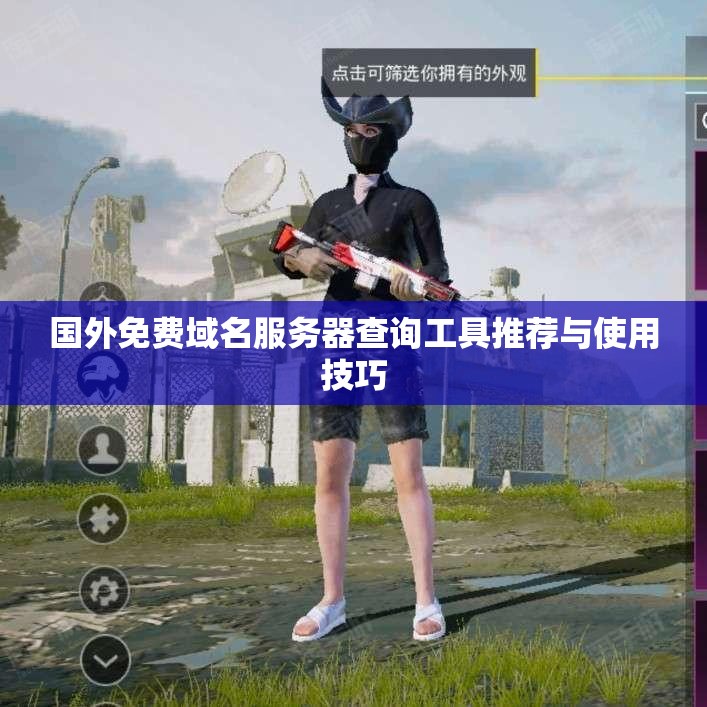 国外免费域名服务器查询工具推荐与使用技巧