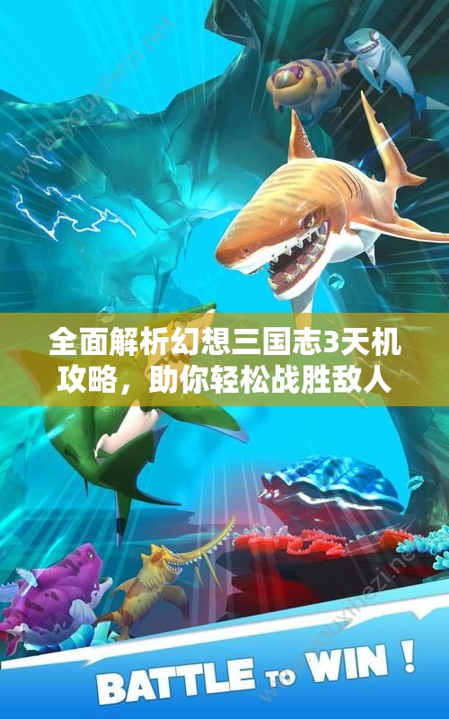 全面解析幻想三国志3天机攻略，助你轻松战胜敌人